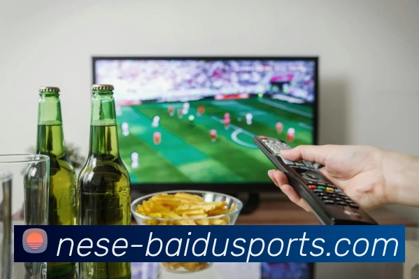 App Interface Preview