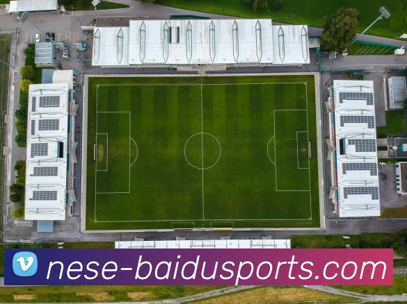 百度体育APP 封面图